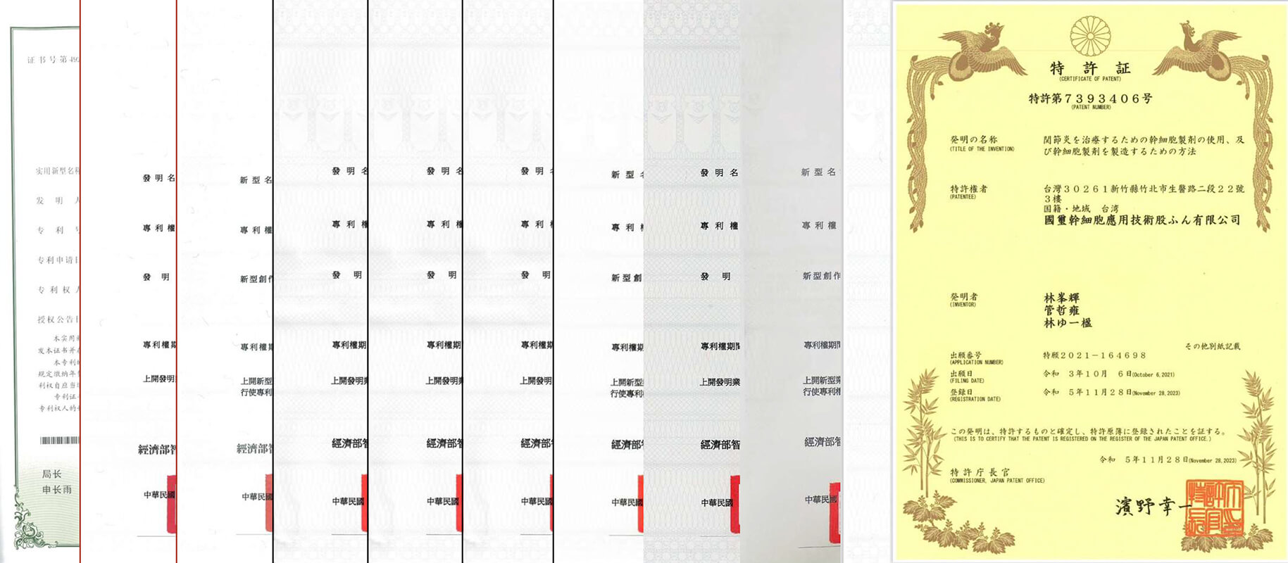 退化性關節炎_exosome